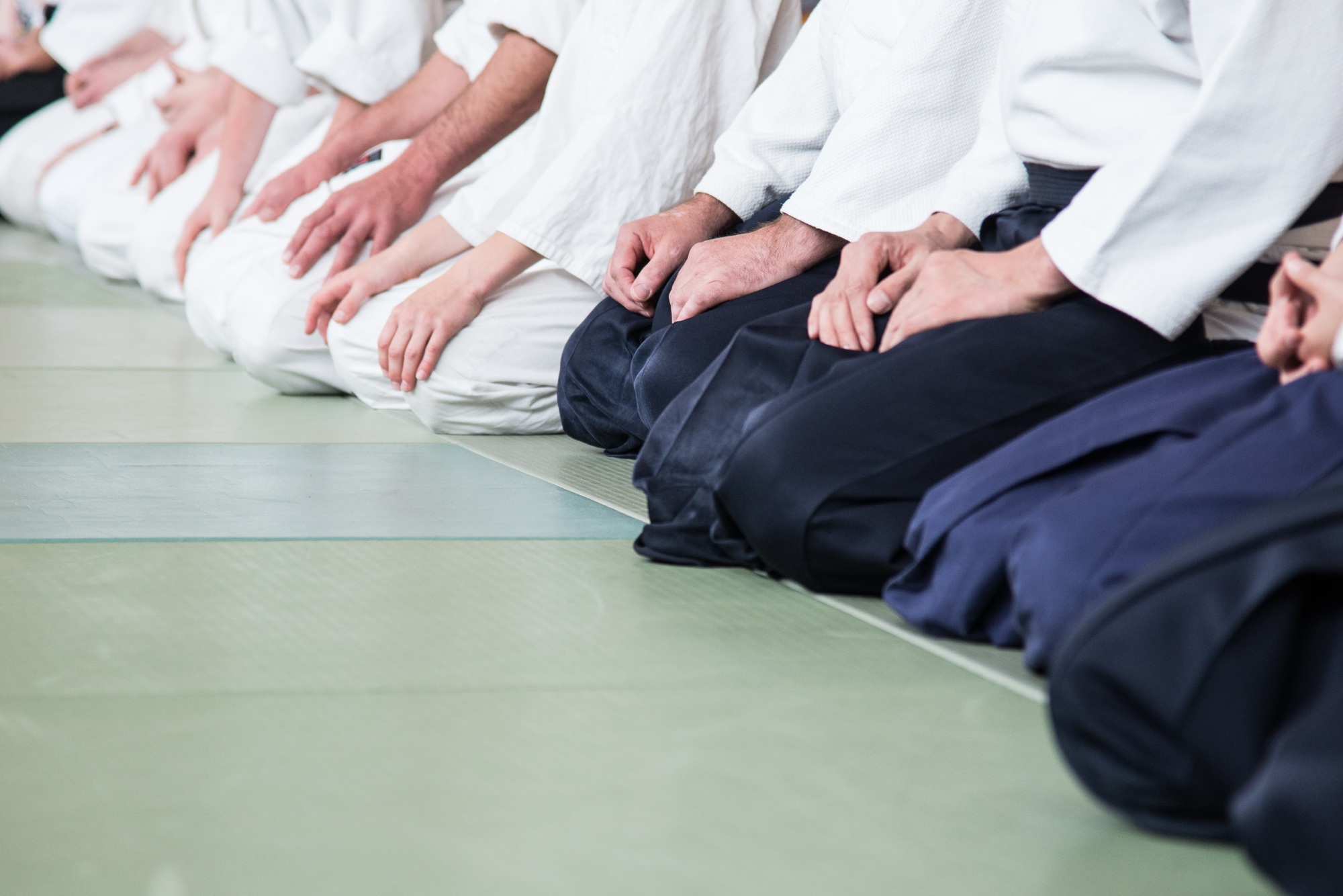 Körper und Geist – Aikido-Technik in Ausführung
